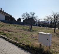 PXL_20260307_083611782.jpg