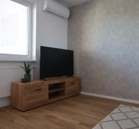 Televizor na dřevěné skříňce, podlaha s dřevěným dekorem, kout obývacího pokoje v 2-pokojovém bytě.