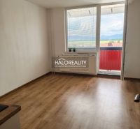 Garsonka s podlahou s dřevěným dekorem, velkým oknem a balkonem.