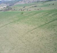 Rozsáhlé zemědělské a lesní pozemky v Čiernom Balogu s kopci a pastvinami.