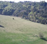 Panoráma zemědělských a lesních pozemků u Černého Balogu s jednotlivými stromy.
