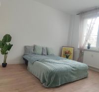 Světlý pokoj s postelí, pokojovou rostlinou a podlahou s dřevěným dekorem ve 4-pokojovém bytě.
