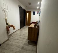 Úzká interiérová chodba s podlahou s dřevěným dekorem, dekorací a dveřmi.