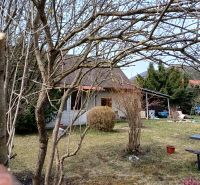 IMG_20260401_124557239_HDR.jpg