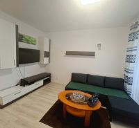 Garsonka s pohovkou, konferenčním stolkem a podlahou s dřevěným dekorem.