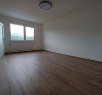 Pokoj v 3-pokojovém bytě s podlahou s dřevěným dekorem, velkým oknem a radiátorem.