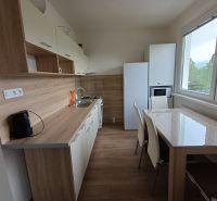 Kuchyně v 3-pokojovém bytě s podlahou s dřevěným dekorem a moderním zařízením.