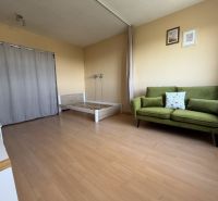 Pokoj v 1-pokojovém bytě s pohovkou, postelí a podlahou s dřevěným dekorem.