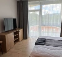 V rekreačním apartmánu: postel, TV na dřevěném nábytku, podlaha s dřevěným dekorem, velké okno.
