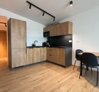 Kuchyně v rekreačním apartmánu s podlahou s dřevěným dekorem a dřevěnými skříňkami.
