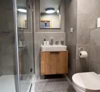 Koupelna rekreačního apartmánu s umyvadlem, sprchovým koutem a stylovými šedými obklady.