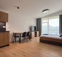 Rekreační apartmán s dřevěným dekorem, kuchyní, jídelním stolem a postelí.
