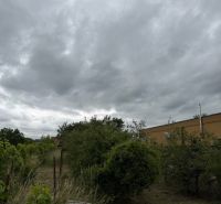 Zahrada v Bratislavě - Jarovcích s bohatou vegetací na pozemku určeném k bydlení.