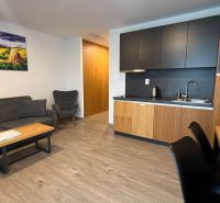 Obývací část s kuchyňským koutem, sedačkou, křeslem a podlahou s dřevěným dekorem v Rekreačním apartmánu.