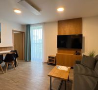 Obývací pokoj v rekreačním apartmánu s podlahou s dřevěným dekorem a pohodlnou sedačkou.