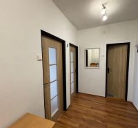 Prostor v 2-pokojovém bytě s podlahou s dřevěným dekorem a třemi dveřmi.