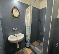 Koupelna v 2-pokojovém bytě s umyvadlem, zrcadlem a sprchou, modré kachličky.