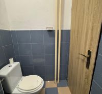 Toaleta s modrými dlaždicemi v dvoupokojovém bytě, dveře s dřevěným dekorem.
