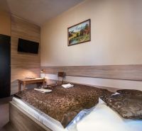 Pokoj v hotelu s postelí, dekorativní přikrývkou a televizí na stěně.