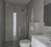 Koupelna se sprchovým koutem, umyvadlem a WC ve 4pokojovém bytě.