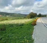 Cesta s květinovým pásem a blízká pole ve Slovenské Volové nabízejí klidné možnosti bydlení.