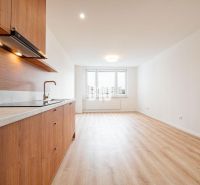 Kuchyně ve 3-pokojovém bytě s podlahou s dřevěným dekorem, minimalistický design.