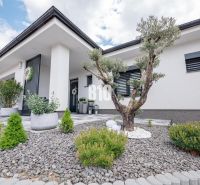 Rodinný dům v Nitře s upravenou zahradou, okrasné keře a kamenný design.