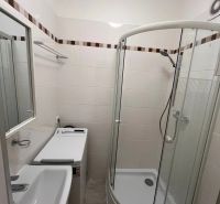 Koupelna se sprchovým koutem, umyvadlem a pračkou v 1-pokojovém bytě.