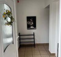 Prostorná předsíň s dlažbou, obrazem lva a kovovým stojanem.