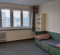 Garsonka s kobercem, postelí, pracovním stolem a židlí.