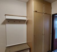 Chodba v garsonce s věšákem, botníkem a velkou skříní, podlaha s dřevěným dekorem.