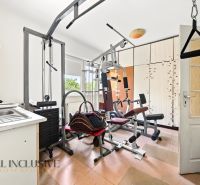 Fitness zařízení v rodinném domě s posilovacími stroji a umyvadlem.