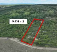 Zemědělské a lesní pozemky v Tornaľi s výměrou 5 439 m², obklopené zelení.