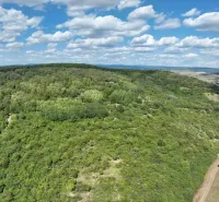 Louky a lesy kolem Tornele, zemědělské a lesní pozemky, pod modrou oblohou.