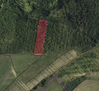 Zemědělské a lesní pozemky v Tornali, zřetelné ohraničení parcely v červené barvě.