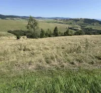 Kopcovitá krajina a louky s výhledem v oblasti Zvláštních nemovitostí ve Staré Ľubovni.