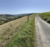 Venkovská cesta obklopená loukami a kopci v pozadí, Zvláštní nemovitosti ve Staré Ľubovni.
