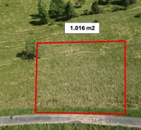 Pozemek 1.016 m² s trávou a stromy, Stará Ľubovňa, Zvláštní nemovitosti.