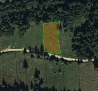 Louka se zelenými hranicemi parcely, obklopená lesy ve Staré Ľubovni - Zvláštní nemovitosti.