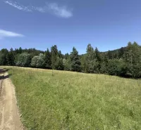 Lesní cesta a louka obklopené stromy v oblasti Staré Ľubovně, Zvláštní nemovitosti.