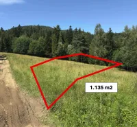 Pozemek u lesa v oblasti Staré Ľubovně, s označenou rozlohou 1.135 m², Zvláštní nemovitosti.