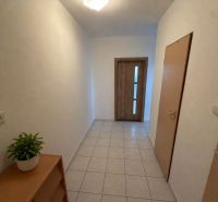 Interiér 3-pokojového bytu s dlažbou, pokojovou rostlinou a dřevěnými dveřmi.