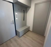 Vstupní chodba v 2pokojovém bytě s podlahou s dřevěným dekorem a úložným prostorem.