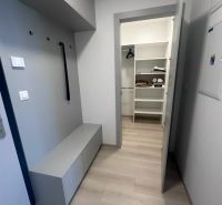 Vstupní chodba se skříní a podlahou s dřevěným dekorem v 2-pokojovém bytě.