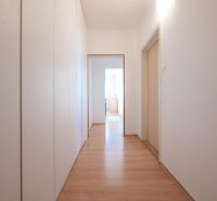 Chodba v 2-pokojovém bytě se skříněmi a podlahou s dřevěným dekorem.