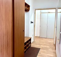 Chodba s podlahou s dřevěným dekorem a vestavěnými skříněmi v 2pokojovém bytě.