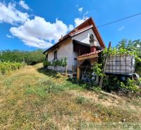 Chata v Gbelcích obklopená zelení a vinicí pod modrou oblohou.