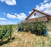 Chata v Gbelcích obklopená vinicemi a zelení pod modrou oblohou.