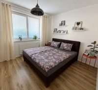 Ložnice s postelí, podlahou s dřevěným dekorem a dekoracemi v 3-pokojovém bytě.