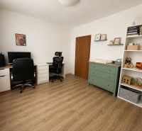 Domácí pracovna v 3-pokojovém bytě s podlahou s dřevěným dekorem a úložným prostorem.